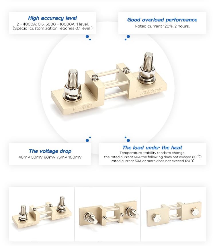 FL-2D Din Shunts Series 300A