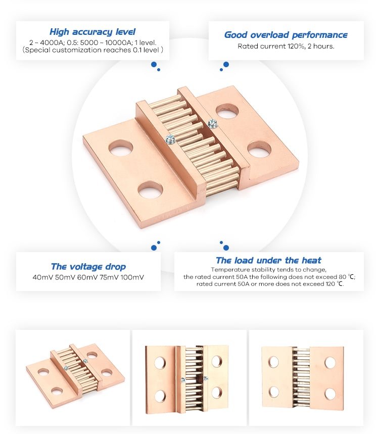 FL-2D Din Shunts Series 2000A