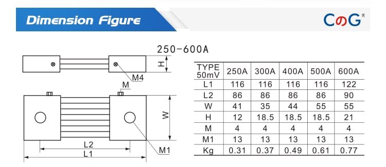 FL-21 Export DC Shunts 500A
