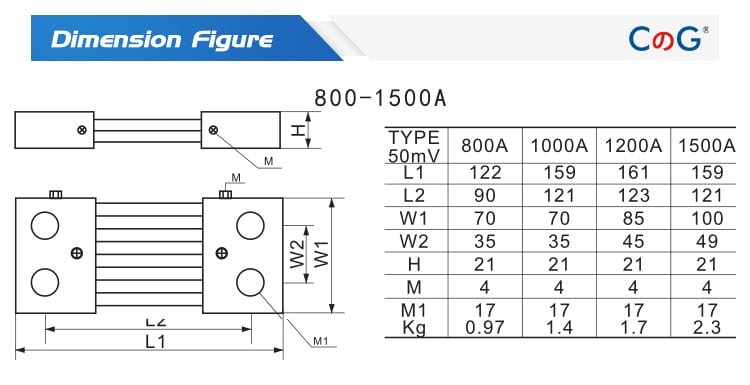 FL-21 Export DC Shunts 1000A